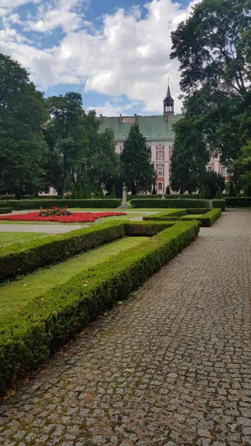 Chopin Park Lux Apartment, Self Check-in 24h, Free Parking, Air-conditioning * Poznan